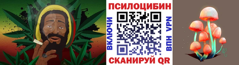 Псилоцибиновые грибы MAGIC MUSHROOMS  Карабаново 